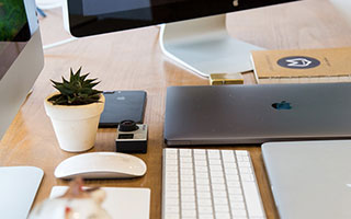 新葡京体育：焕新体验的体育世界